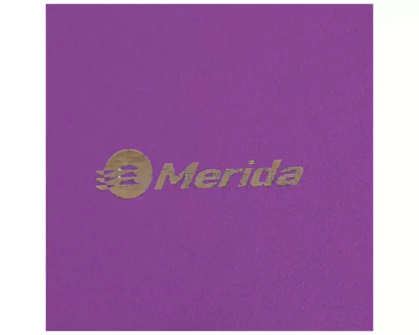 Pojemnik na papier toaletowy MERIDA STELLA VIOLET LINE MEGA, średnica papieru do 28 cm, fioletowy Pojemnik MERIDA STELLA MEGA fioletowy z papierem toaletowym w środku
